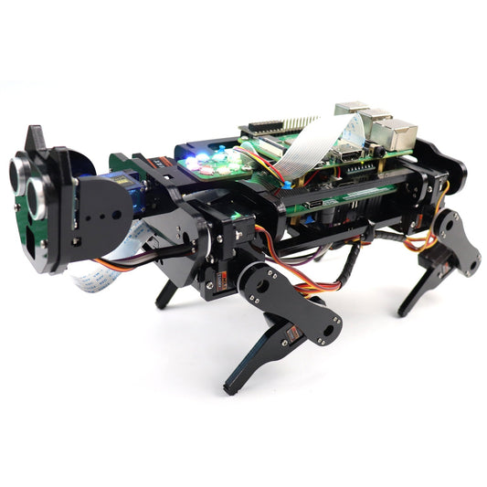 Raspberry Pi Robot Dog Face Recognition